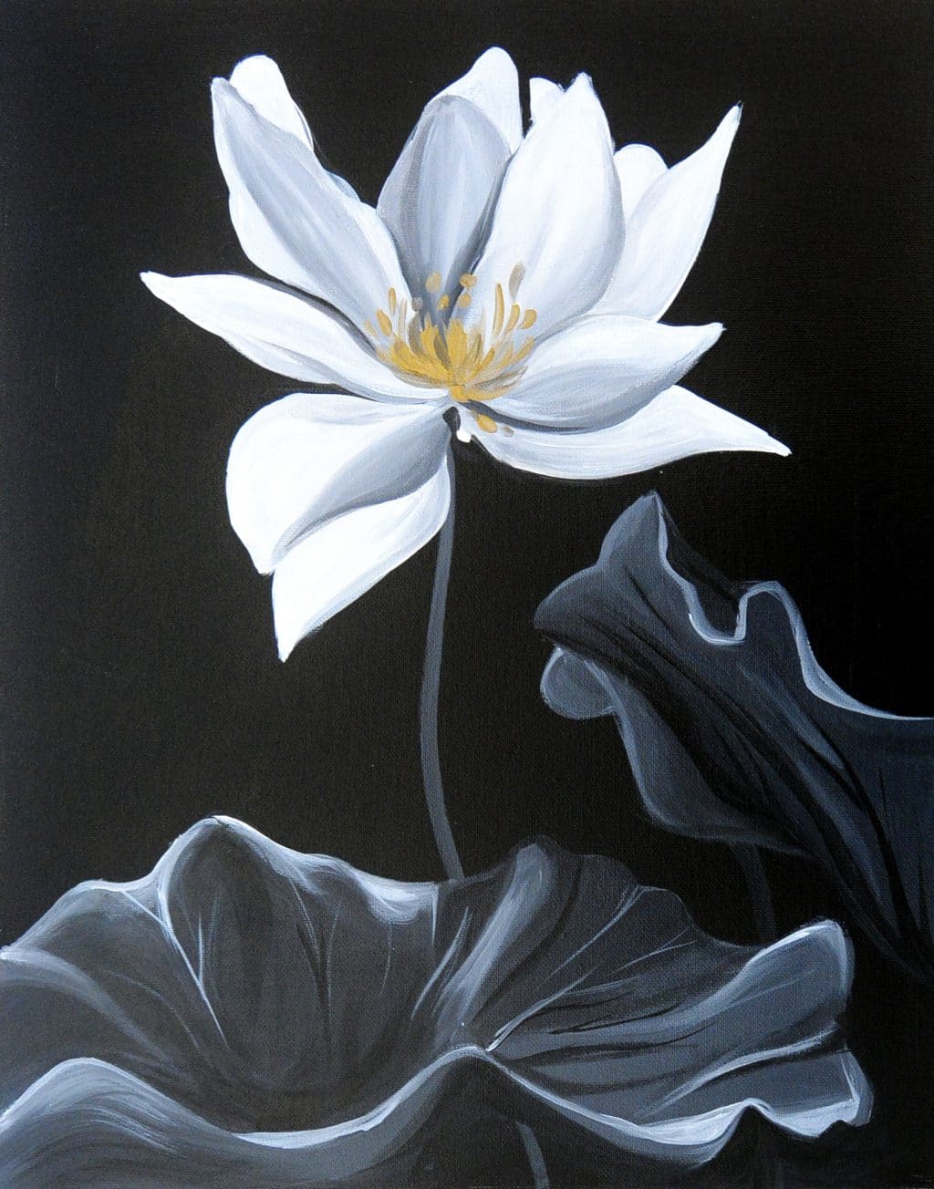 Gilded Waterlily (Lovely Lotus)