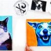 Paint Your Pet picture examples