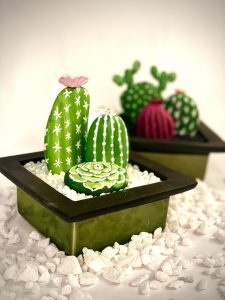 Cactus painted rocks diy craft kit with planter